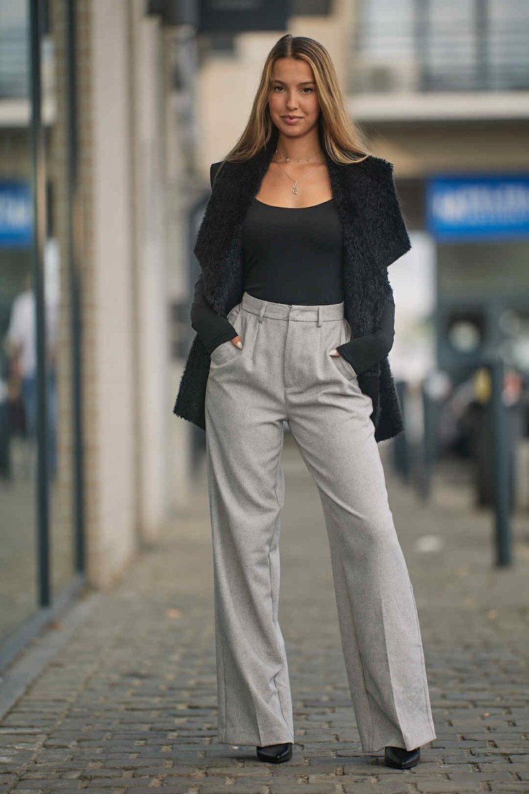 Pantalon gris