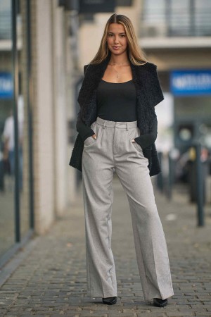 Pantalon gris