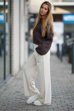 Arri-broek