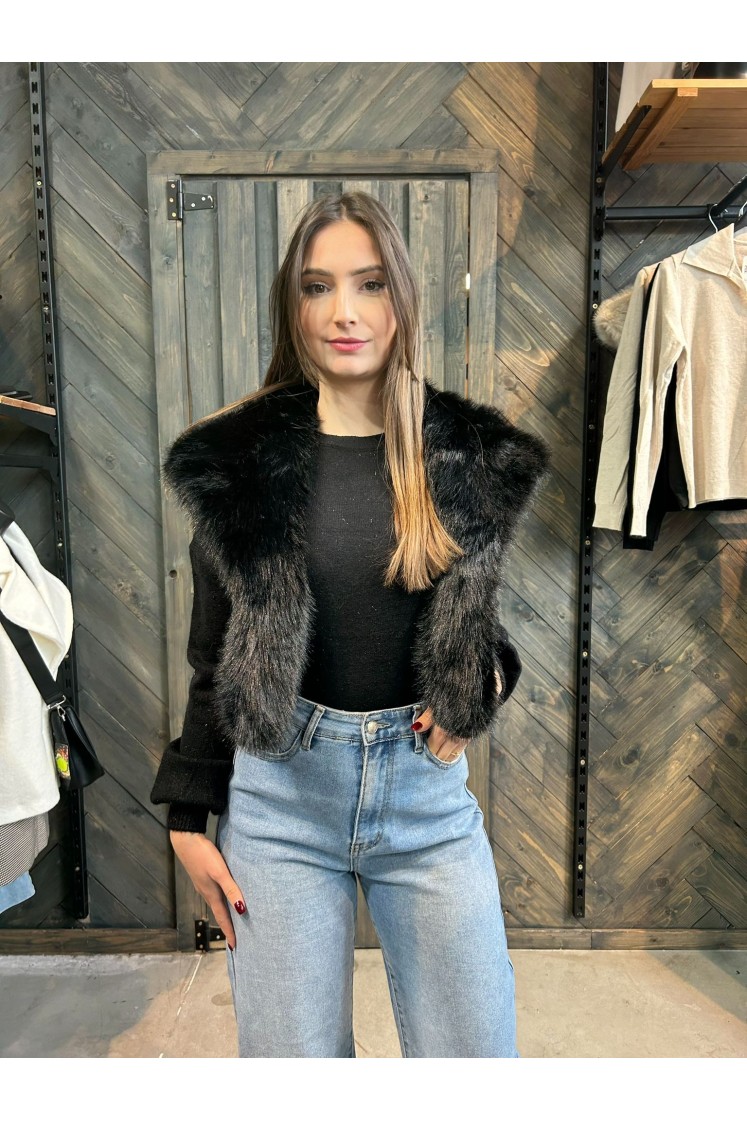 Veste Ludovica